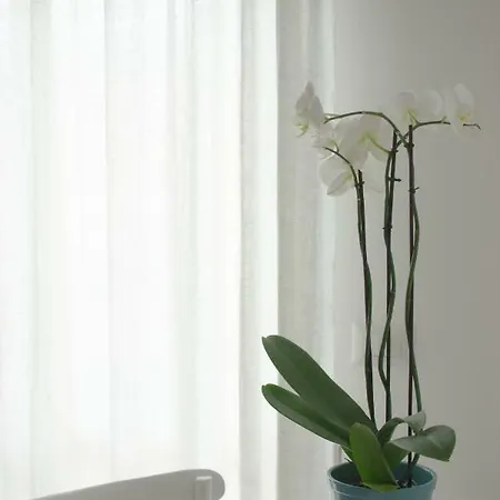 Il Gelsomino Roseto Degli Abruzzi